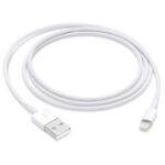 Apple USB-A To Lightning Cable - 1M
